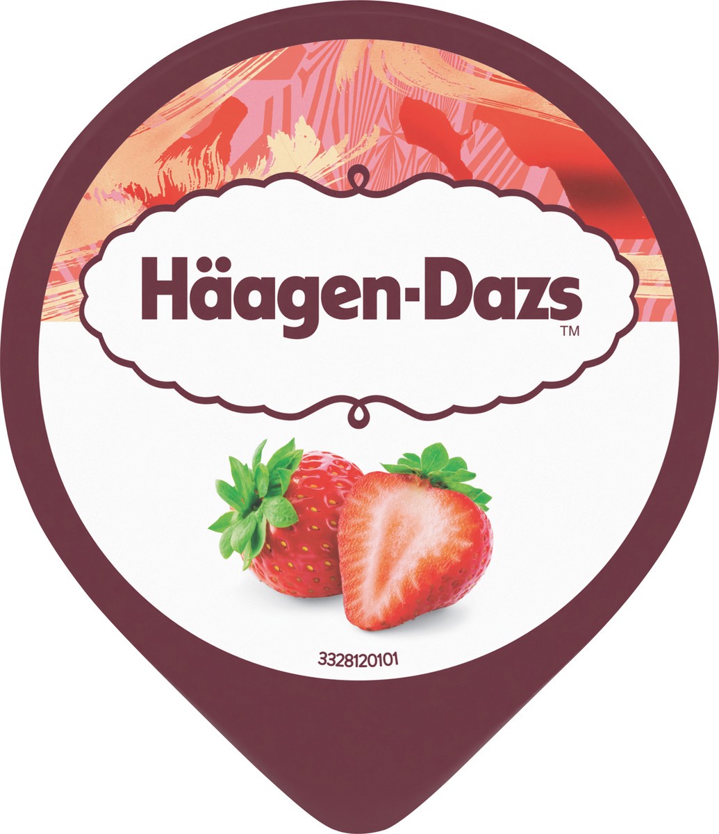 slide 8 of 13, Häagen-Dazs Strawberry Cultured Crème, 4 OZ, 4 oz