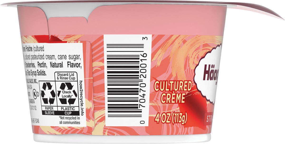 slide 4 of 13, Häagen-Dazs Strawberry Cultured Crème, 4 OZ, 4 oz