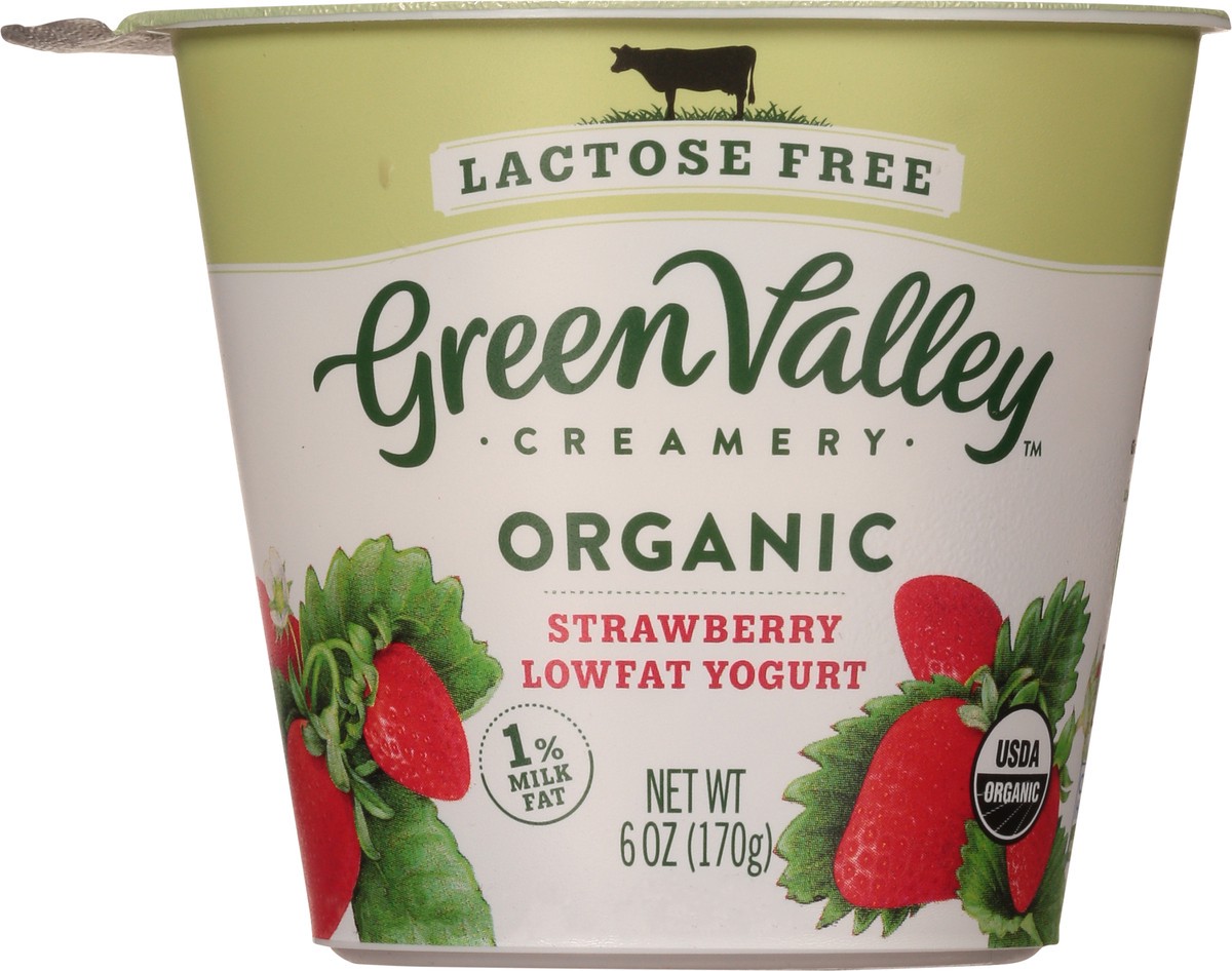 slide 5 of 9, Green Valley Organics Lactose Free Lowfat Organic Strawberry Yogurt 6 oz, 6 oz