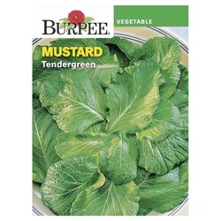 Burpee Mustard, Tendergreen