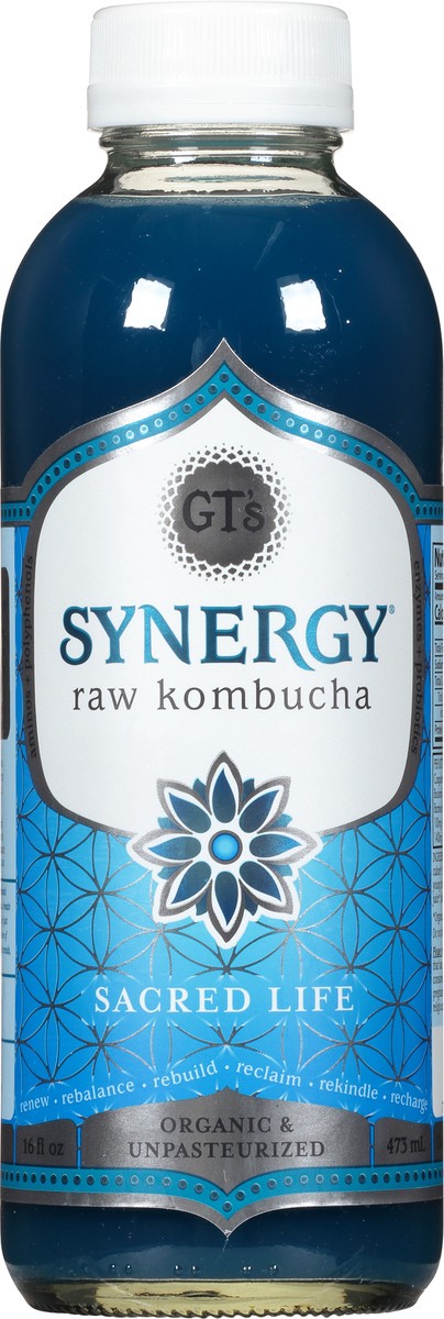 slide 1 of 12, GT's Sacred Life Raw Kombucha 16 oz, 16 oz