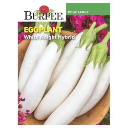 Burpee Eggplant, White Knight Hybrid