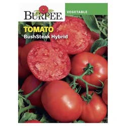 Burpee Bushsteak Hybrid Tomato