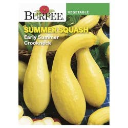 Burpee Summer Squash, Early Golden Crookneck