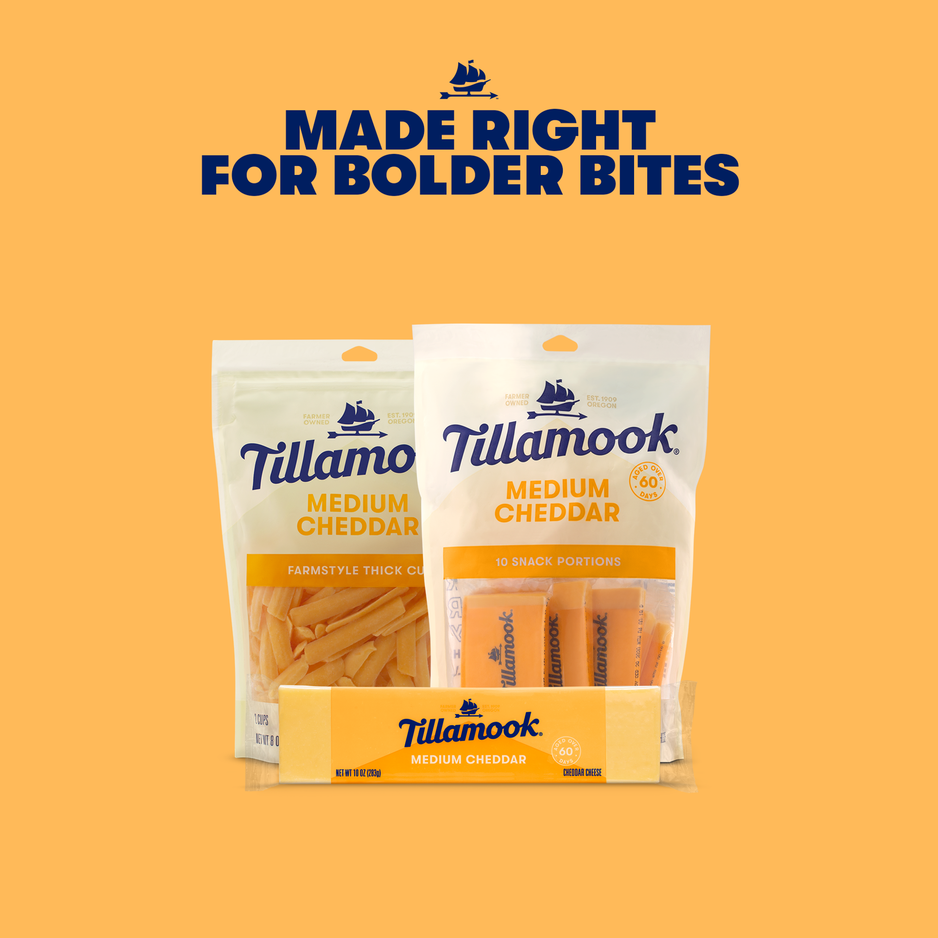 slide 4 of 6, Tillamook Medium Cheddar Cheese 10 oz, 10 oz