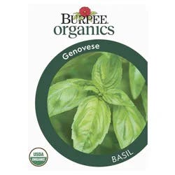 BURPEE Herb,basil, Genovese Organic