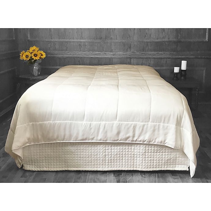 slide 1 of 1, Natural Home Bamboo-Filled Queen Duvet with Rayon from Bamboo Cover, 1 ct