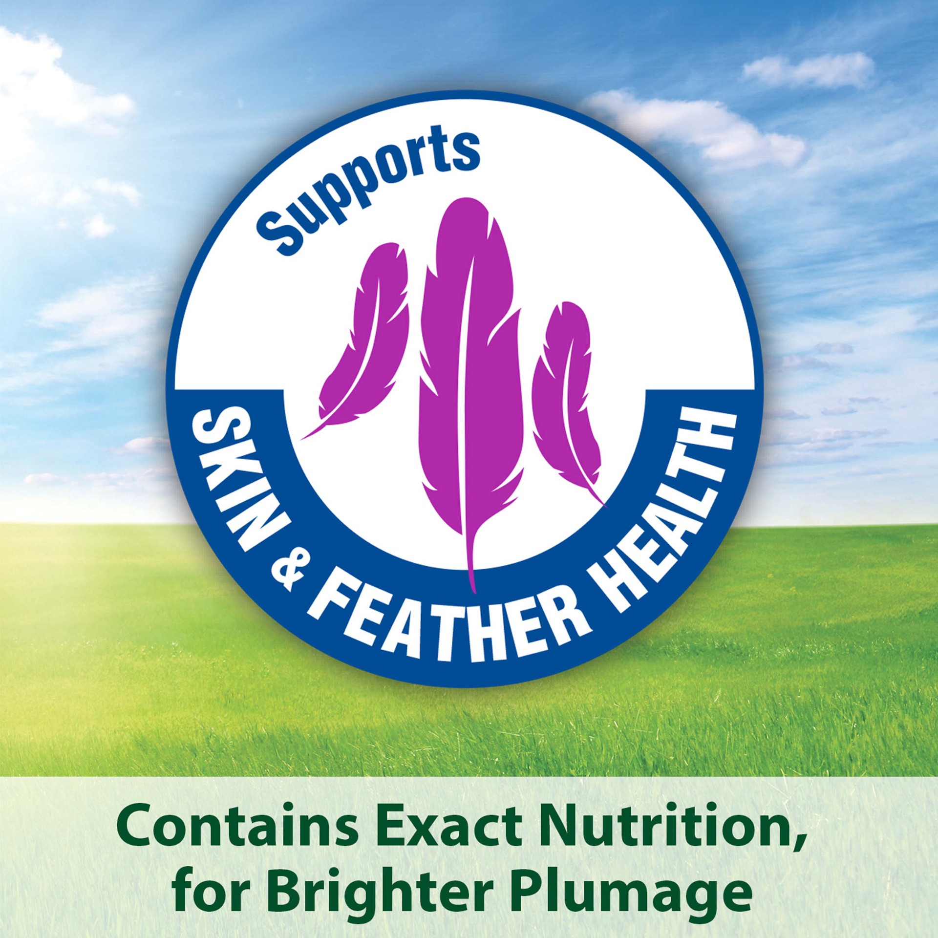 slide 6 of 10, Kaytee Forti-Diet Pro Health Nourish+Protect Cockatiel Food, 5 lbs., 1 ct