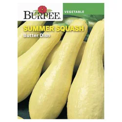 Burpee Summer Squash, Butter Dish