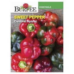 Burpee Sweet Pepper, Cardinal Hybrid
