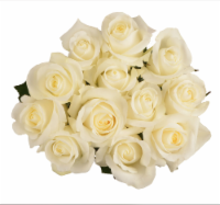 slide 1 of 1, BLOOM HAUS White Dozen Rose Bouquet, 12 ct