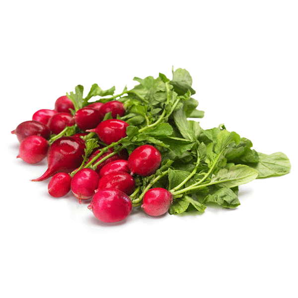 slide 1 of 1, Pure Leaf Radishes, 1 ct