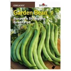 Burpee Stringless Green Pod Bean