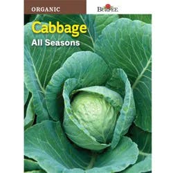 Burpee Organic Cabbage, All Seasons