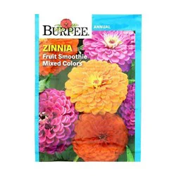 Burpee Zinnia Fruit Smoothie Mixed Colors Seeds