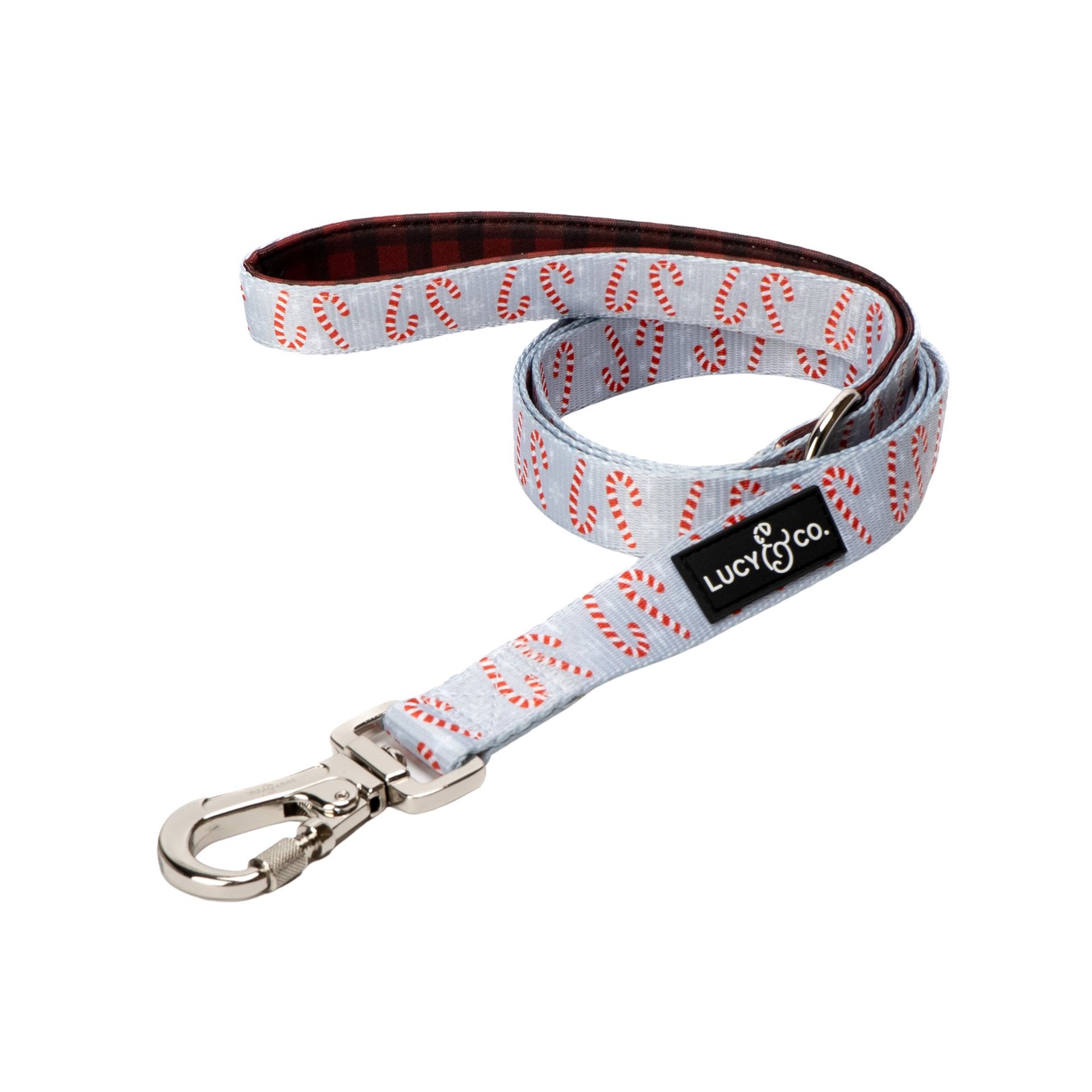 slide 1 of 1, Lucy & Co. Holiday Candy Cane Lane Dog Leash: 5-ft long, 5 ft