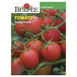 Burpee Tasty Treat Tomato