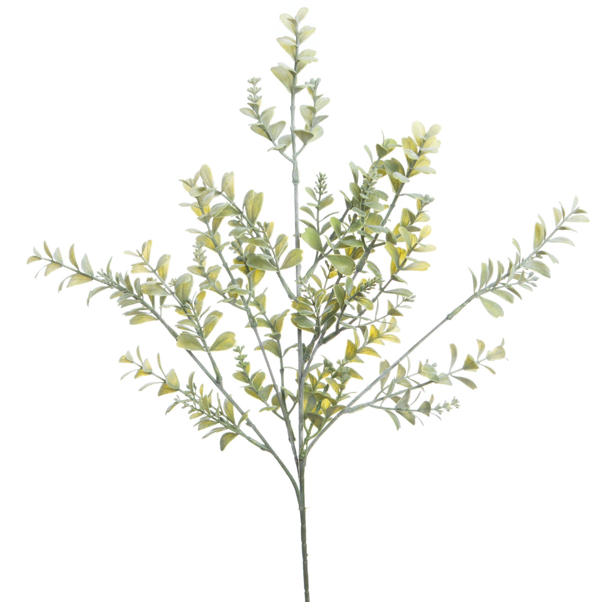 slide 2 of 3, 27" Boxwood Stem By Ashland, 8 in x 2 in x 27 in