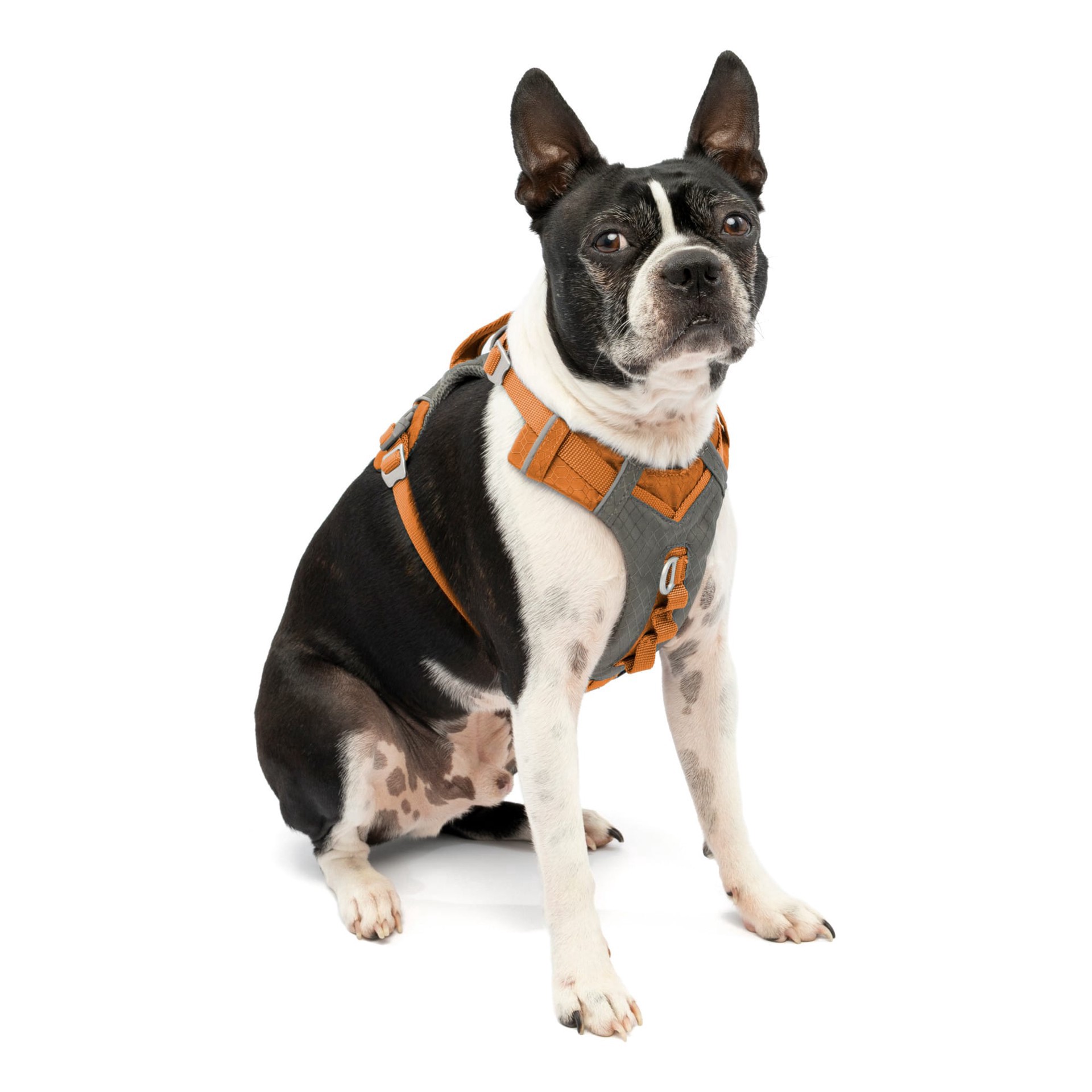 slide 1 of 1, Kurgo Orange Journey Air Vest Dog Harness, Small, 1 ct