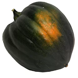 Squash - Green