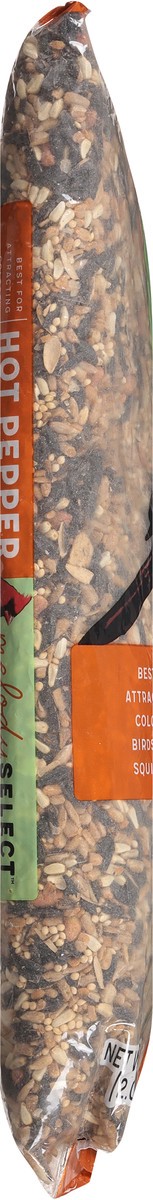 slide 9 of 9, Morning Song Melody Select Super Premium Hot Pepper Blend Wild Bird Food 4.5 lb, 4.5 lb