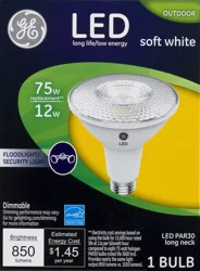 GE LED PAR30L Soft White Light Bulb