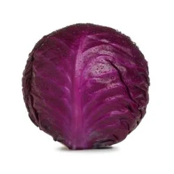 Red Cabbage