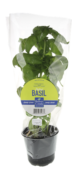 slide 1 of 1, Beaver Creek Basil Plant, 1 ct