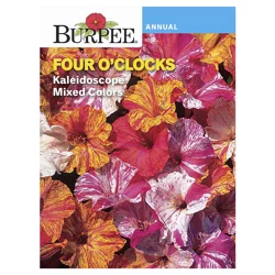 Burpee Four O'Clock Kaleidoscope Mix Seeds - Multi-Color