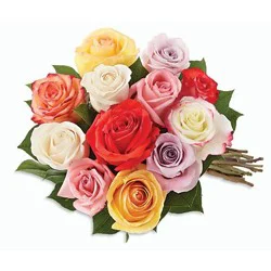 Rainbow Roses - 12 Count 1 ct | shipt