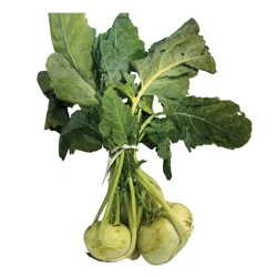 Kohlrabi