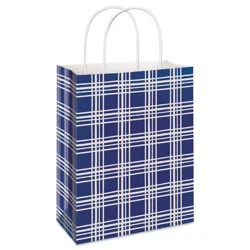 American Greetings All Occasion Large Blue Plaid Gift Bag