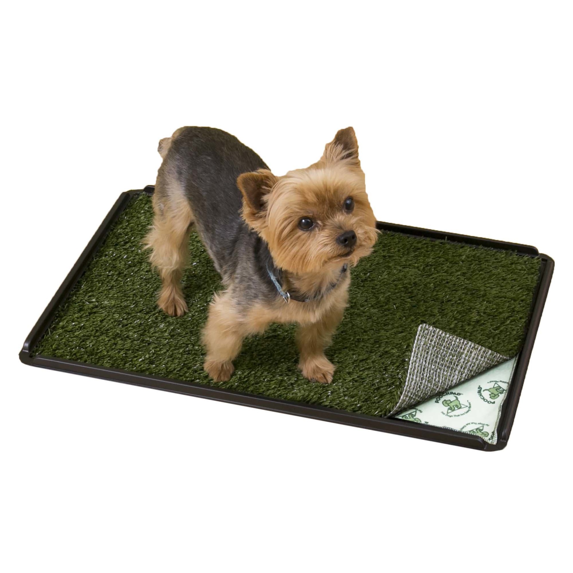 slide 1 of 1, PoochPad Indoor Turf Dog Potty Plus, 1 ct