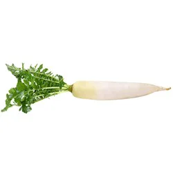 Daikon