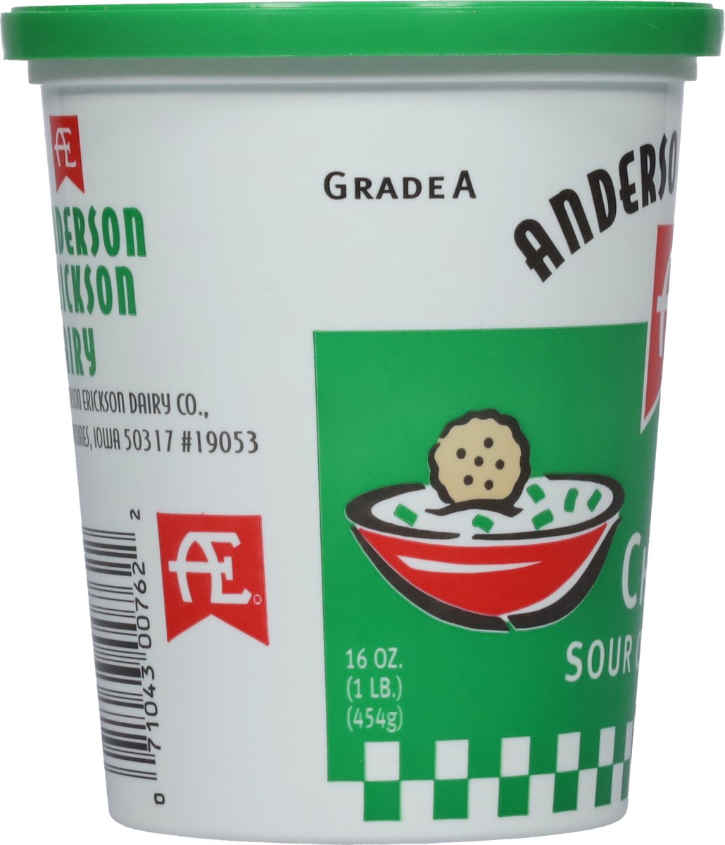 slide 9 of 11, Anderson Erickson Dairy Ae Chive Sour Cream Dip, 16 oz