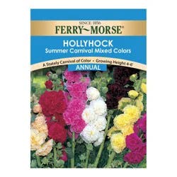 Ferry Morse Hollyhock Summer Carnival Mixed Colo