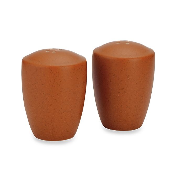 slide 1 of 1, Noritake Colorwave Salt and Pepper Shakers - Terra Cotta, 1 ct