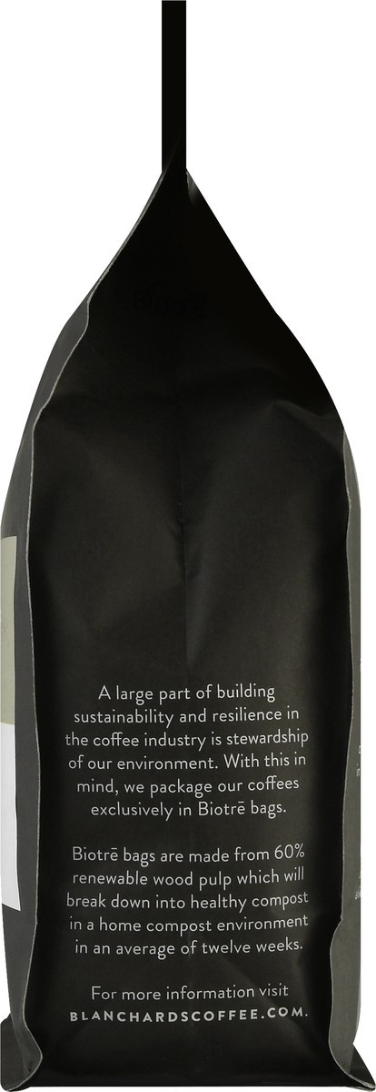 slide 5 of 9, Blanchard's Whole Bean Basecamp Coffee - 12 oz, 12 oz