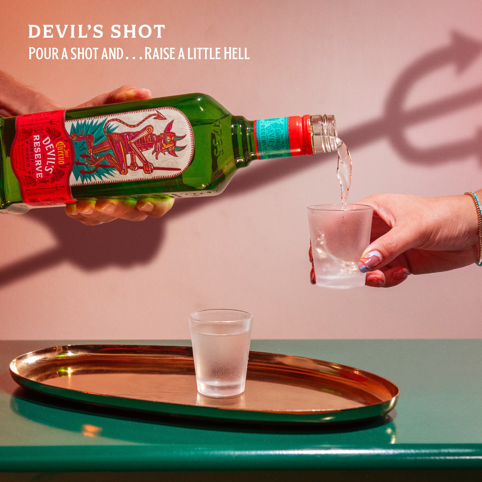 slide 5 of 10, Jose Cuervo Devil's Reserve Tequila 60 Proof (1 L), 1 liter