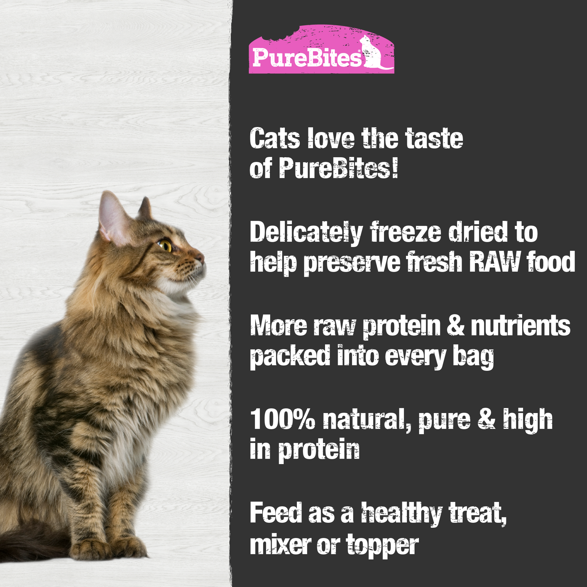 slide 3 of 5, PureBites Freeze Dried Salmon Cat Treats 57g | 1 Ingredient | Made in USA, 57 g