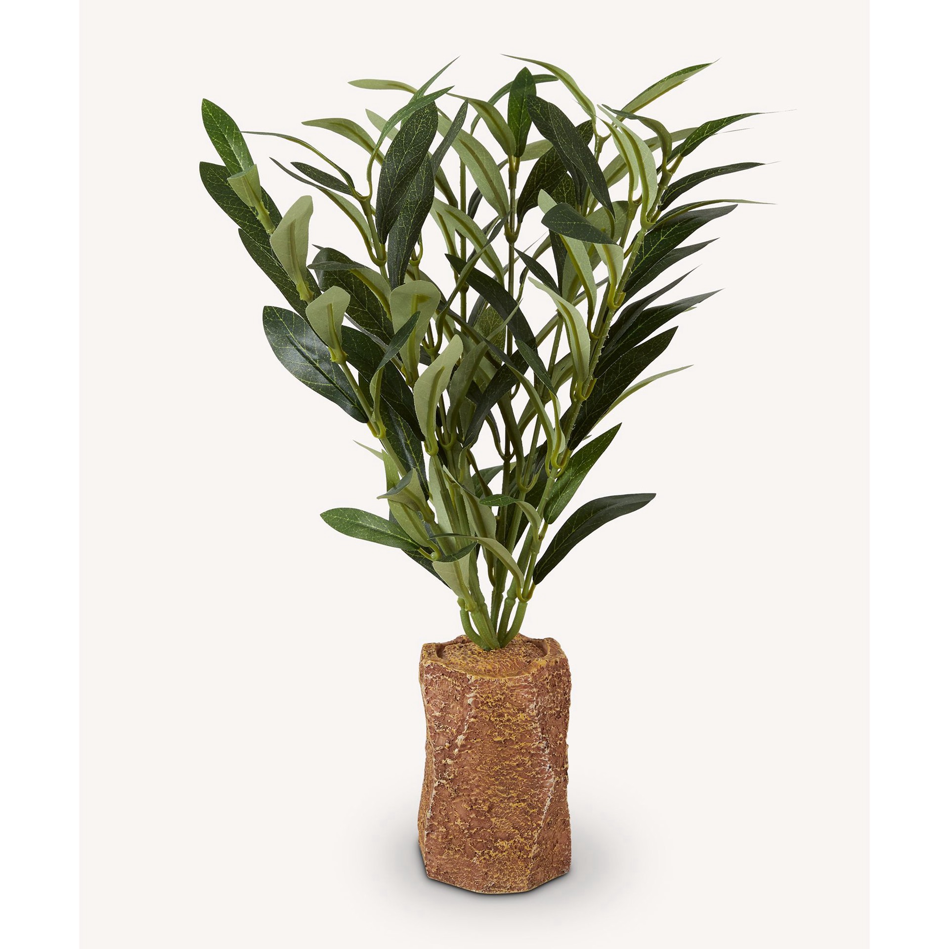slide 1 of 1, Nate + Jeremiah Nate & Jeremiah Potted Olive Plant Reptile & Aquarium Décor - 13", 1 ct