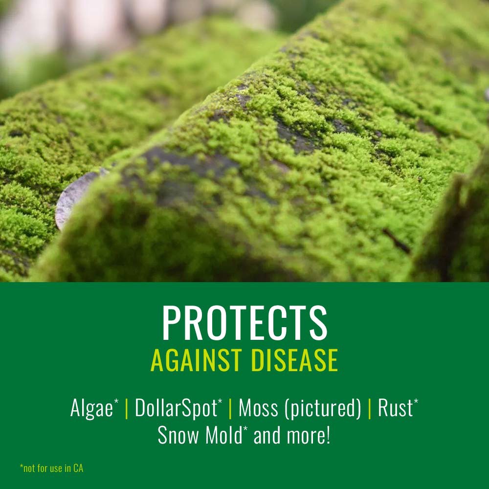 slide 4 of 6, NATRIA Lawn Weed and Disease Control, Ready-to-Use, 24 oz, 1,875 SQ FT, 24 fl oz