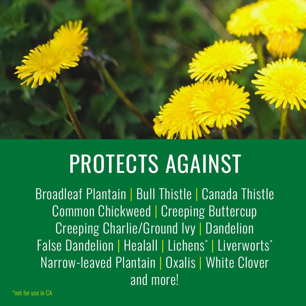 slide 2 of 6, NATRIA Lawn Weed and Disease Control, Ready-to-Use, 24 oz, 1,875 SQ FT, 24 fl oz