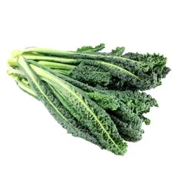 Lacinato Kale
