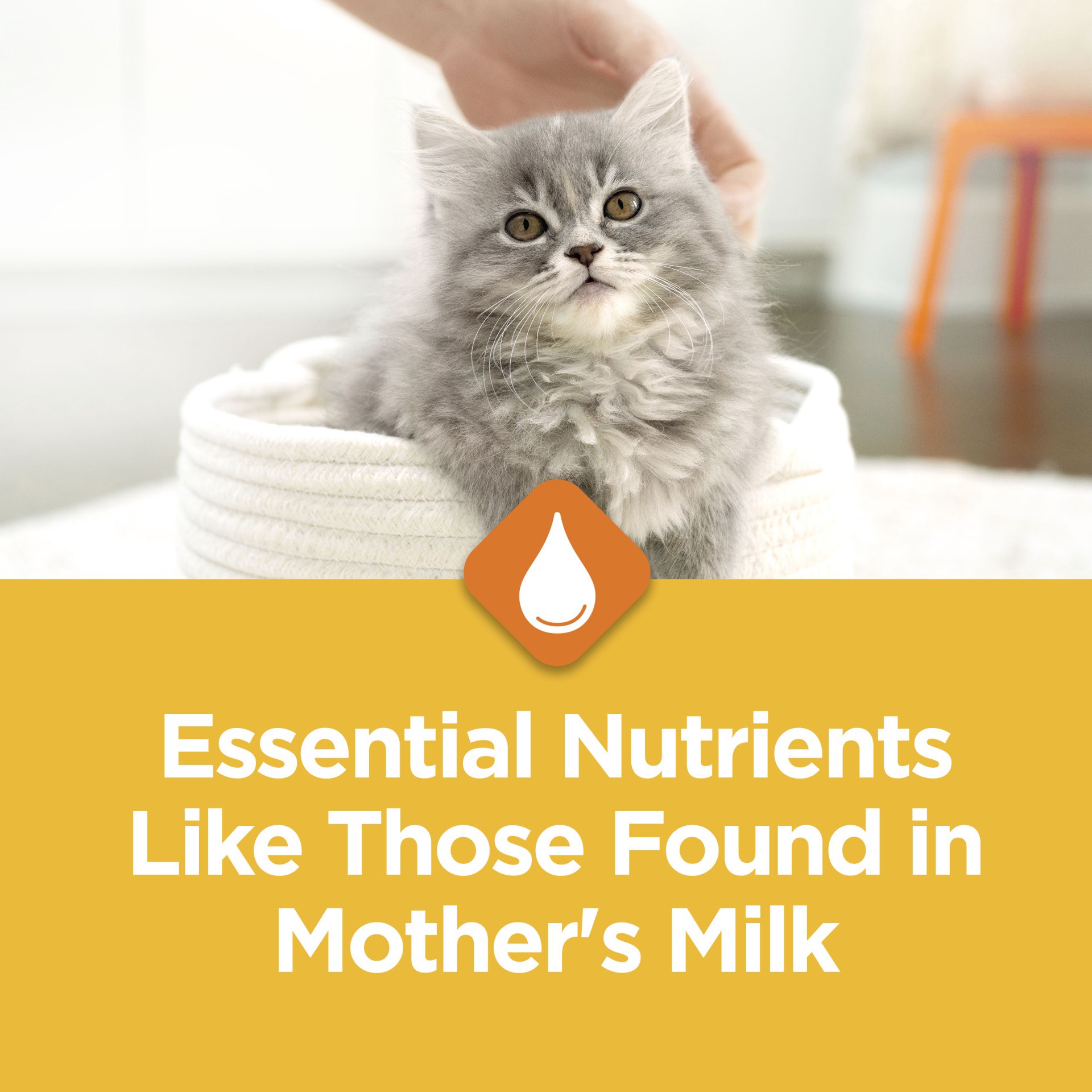 slide 3 of 7, Kitten Chow Purina Kitten Chow, Nurture, 18 oz