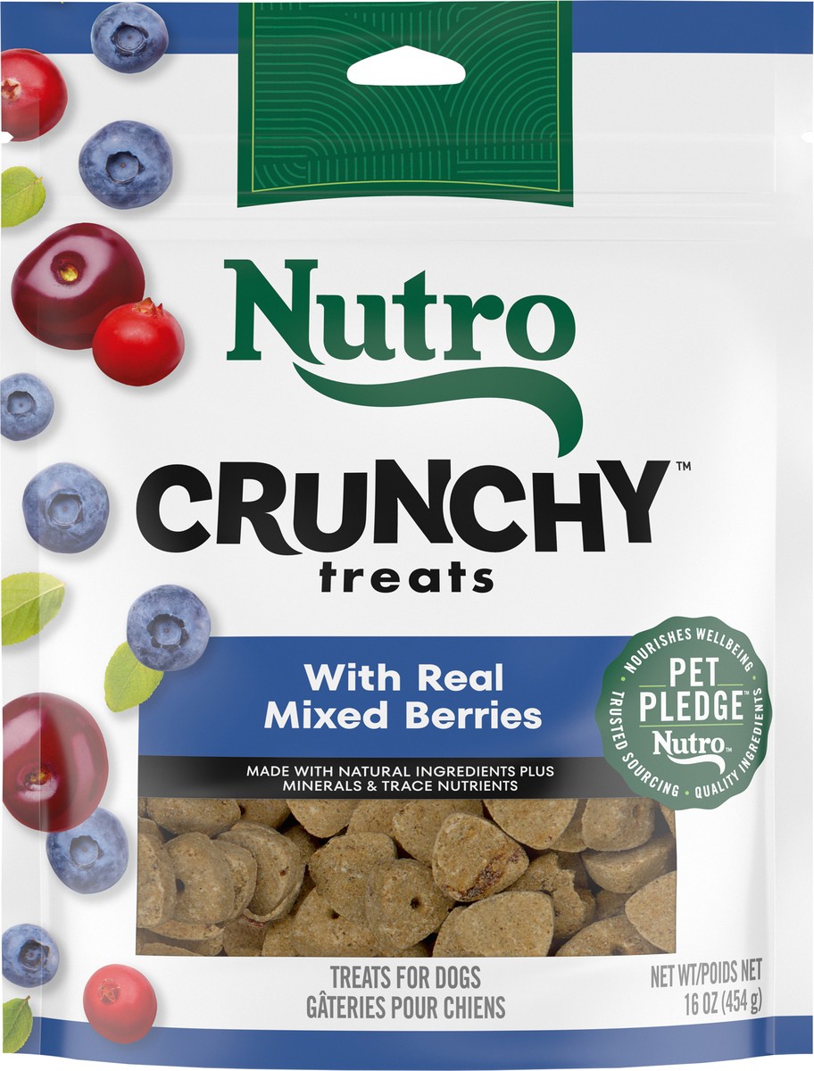slide 5 of 15, Nutro Crunchy with Real Mixed Berries Treats for Dogs 16 oz, 16 oz