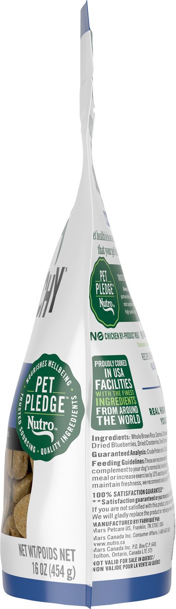 slide 3 of 15, Nutro Crunchy with Real Mixed Berries Treats for Dogs 16 oz, 16 oz