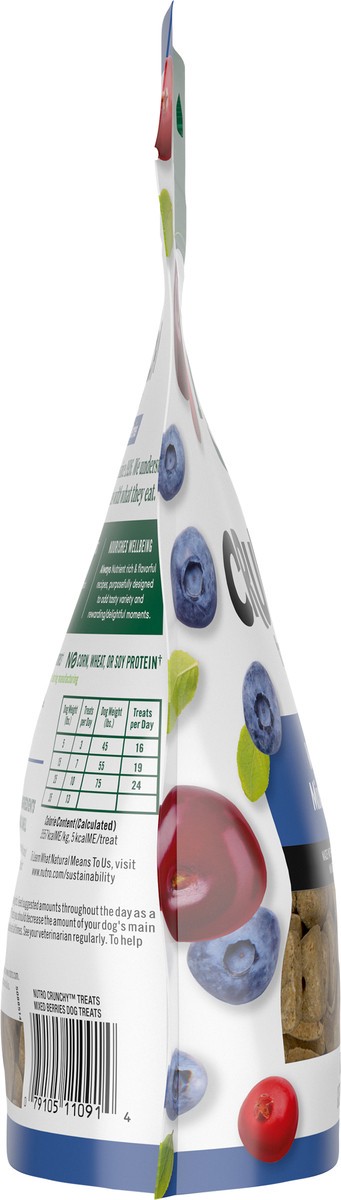 slide 7 of 15, Nutro Crunchy with Real Mixed Berries Treats for Dogs 16 oz, 16 oz