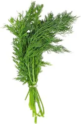 Fresh Dill