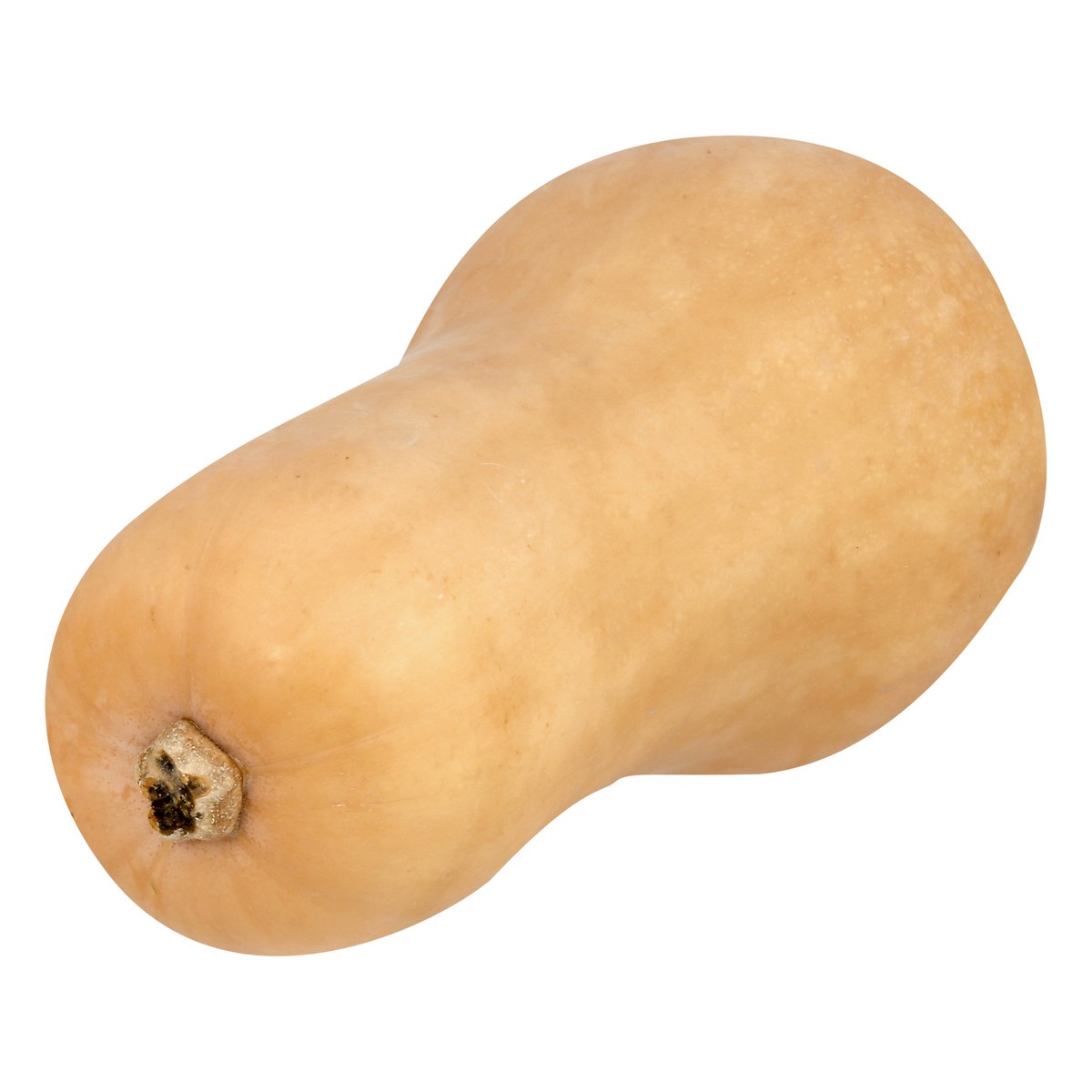 slide 1 of 1, Butternut Squash, 1 ct